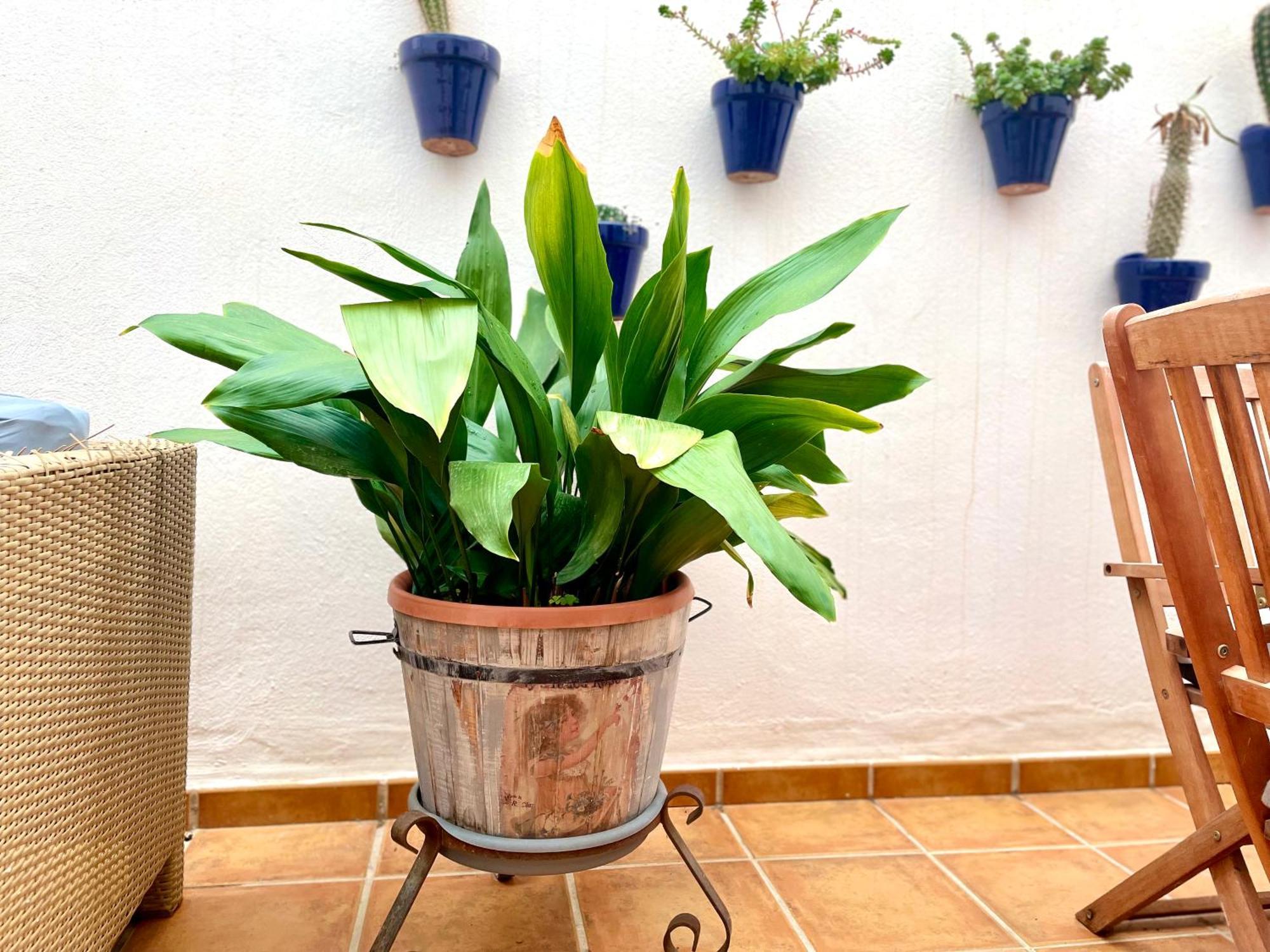 Appartement Casa Azul