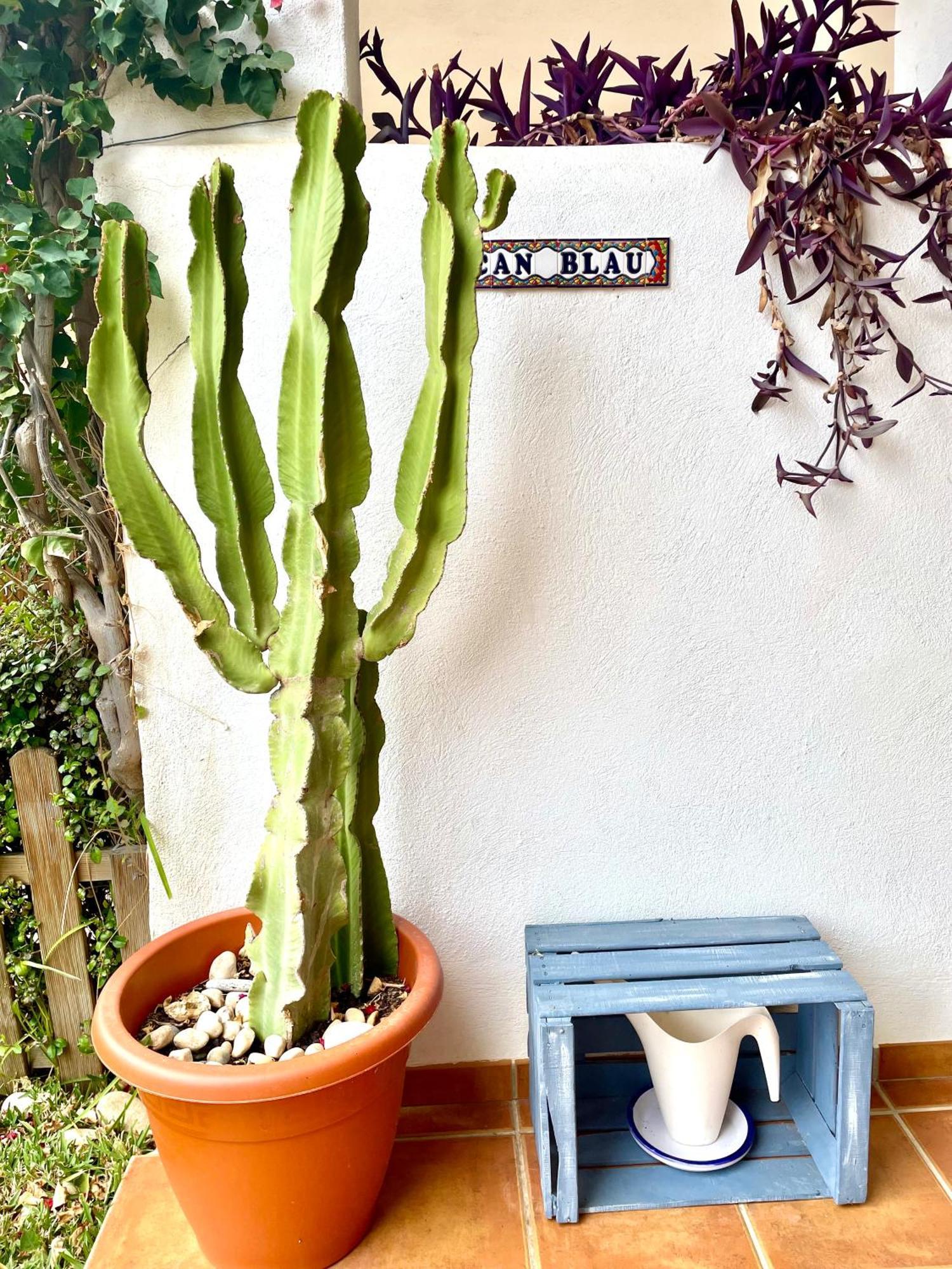 Casa Azul
